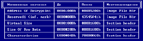 +  PE- +